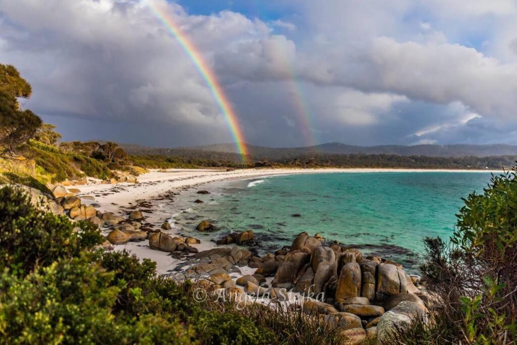 The Tin Shed Couples Accommodation At Bay Of Fires Binalong Bay Esterno foto